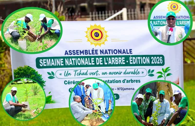 ASSEMBLEE NATIONALE