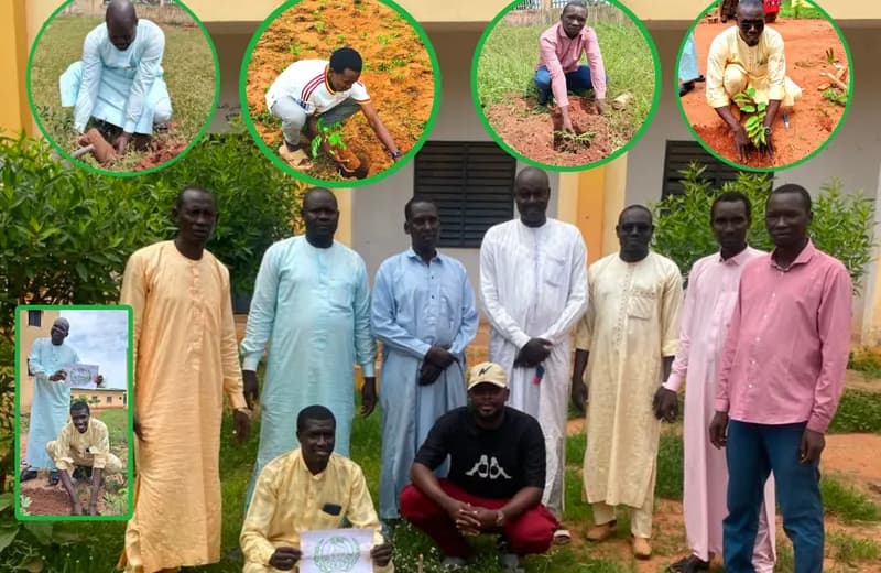 ONG GREEN-CHAD Section Mandoul